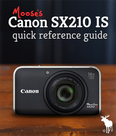 Canon SX210 IS Quick Guide: Tips & Resources for Beginners