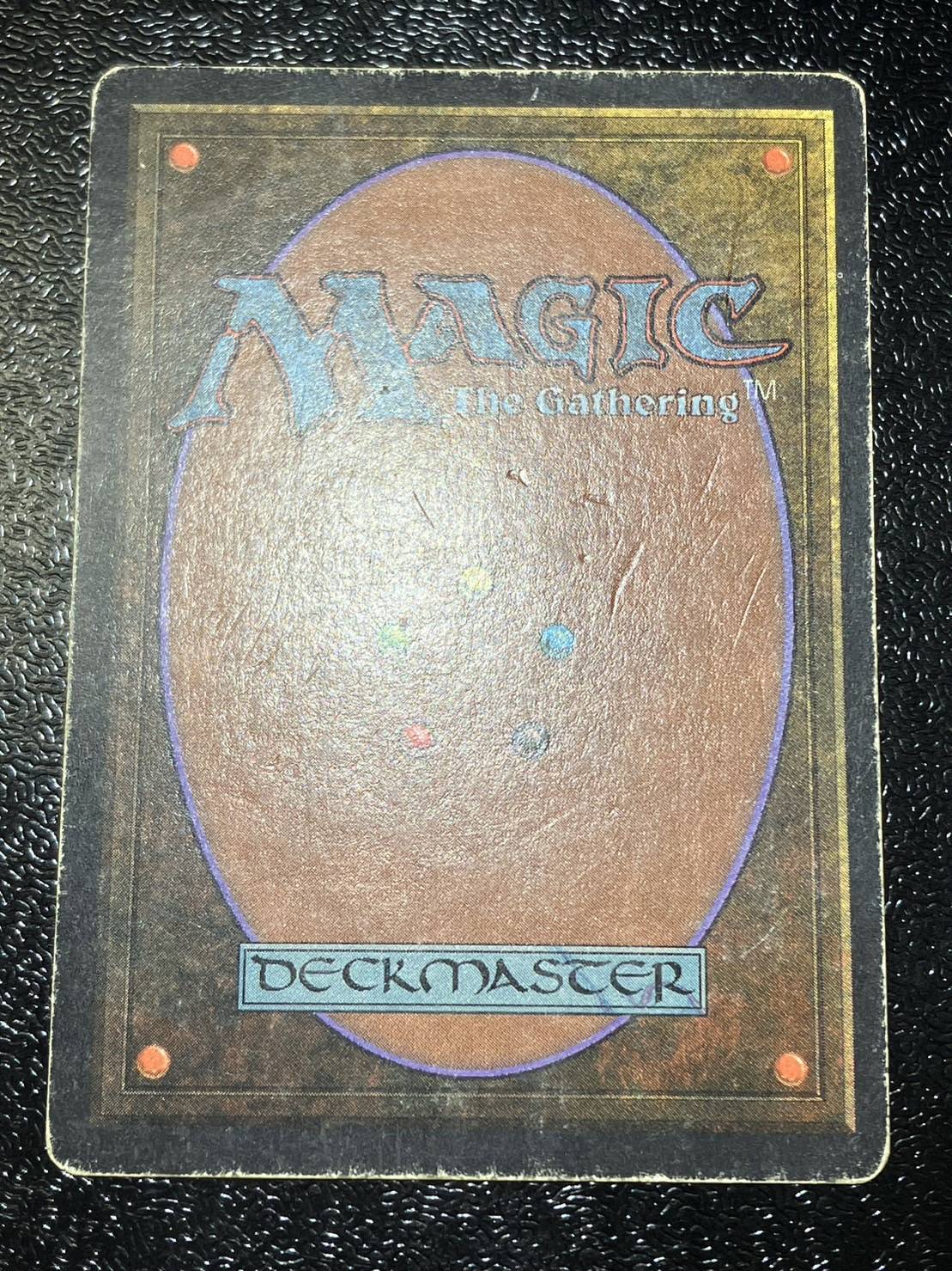 HPLD]Tropical Island《英語》【2ED】#118