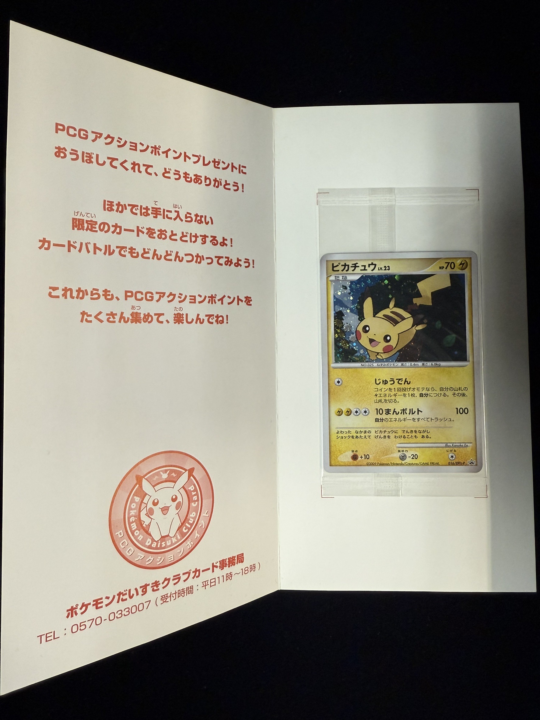 ピカチュウ（台紙付き未開封)【P】{016/DPt-P}