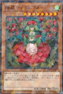 70726f647563742f444253535f3230