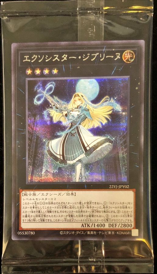 未開封)エクソシスタージブリーヌ【シークレット】{22YJ-JPY02