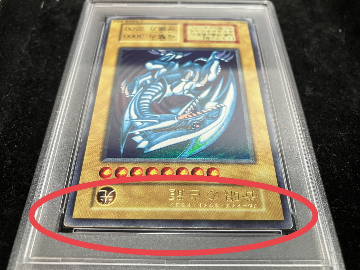 PSA5鑑定済〕青眼の白龍(初期)【ウルトラ】{STARTERBOX}《モンスター》