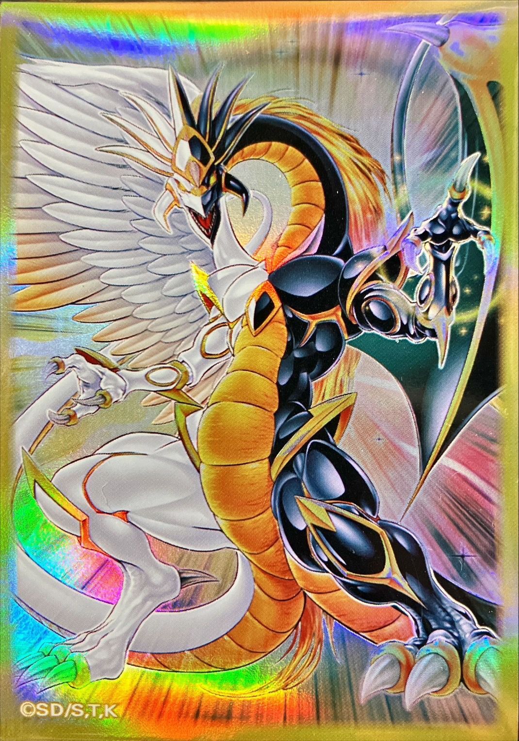 スリーブ『光と闇の竜王(遊戯王の日)』100枚入り【-】{-}《スリーブ》