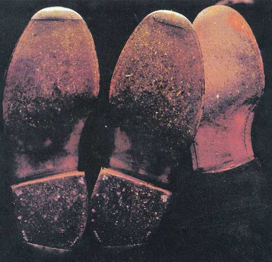 30周年記念】カーネーション初期アルバム4CDボックス発売決定！ - www