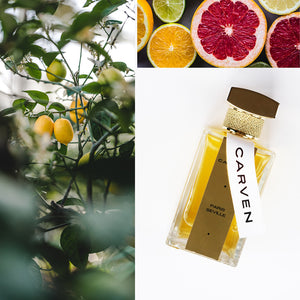 PARIS - SEVILLE – Carven