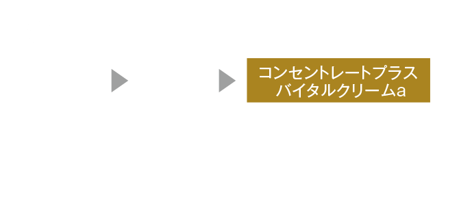 コンセントレートプラス バイタルクリームa│【公式】シーボン（C'BON
