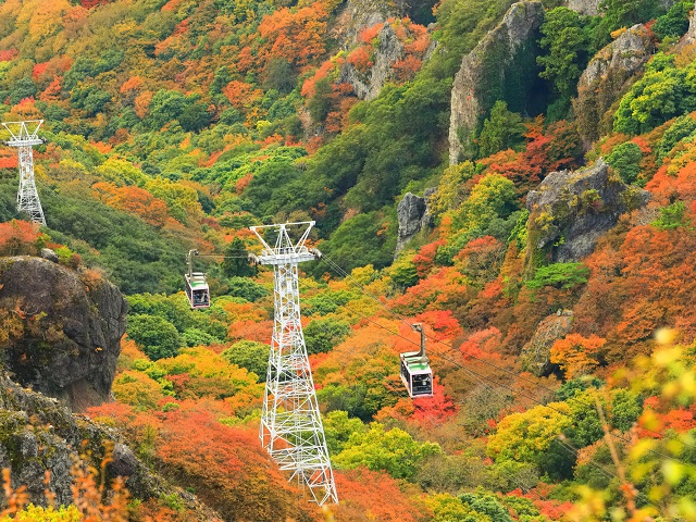 Autumn Leaves Spots in the Shikoku Area, China|Autumn Foliage Tour