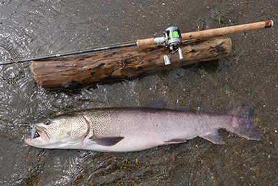 Casket カスケット｜メーカー名｜通販可能｜
