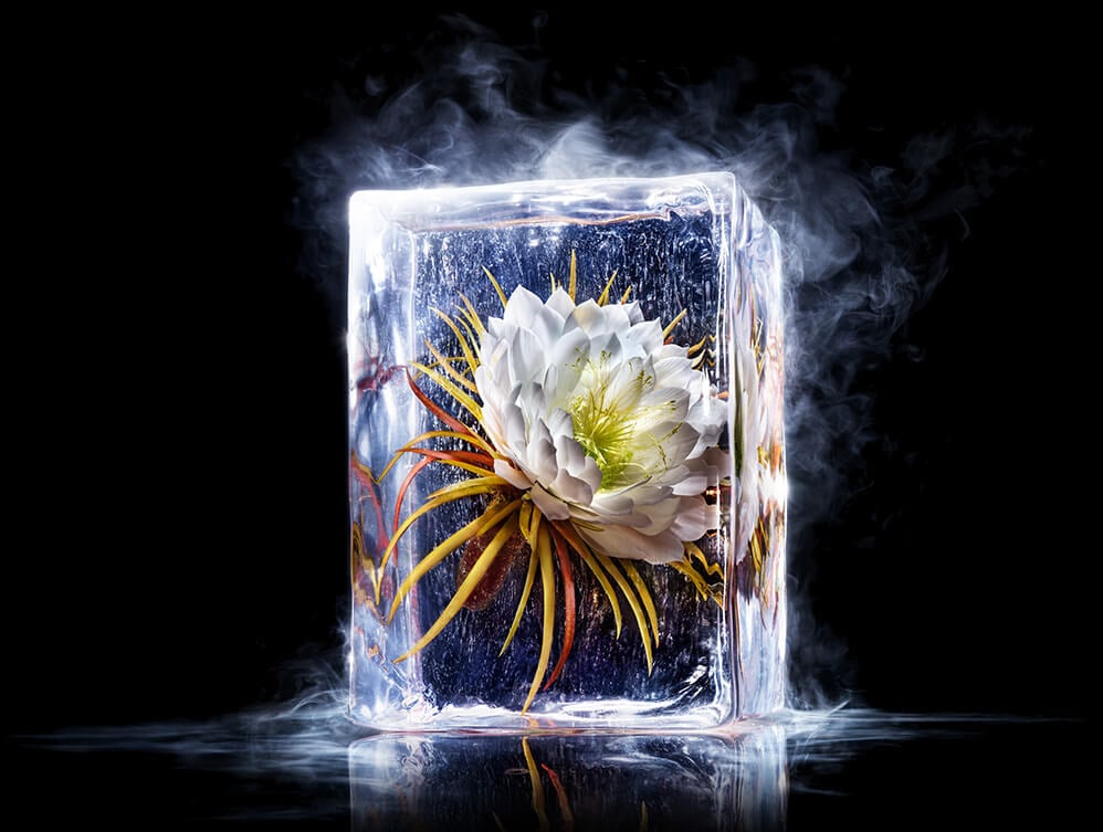 Precious Le Serum | Luxury Age-Defying Face Serum | CLARINS®