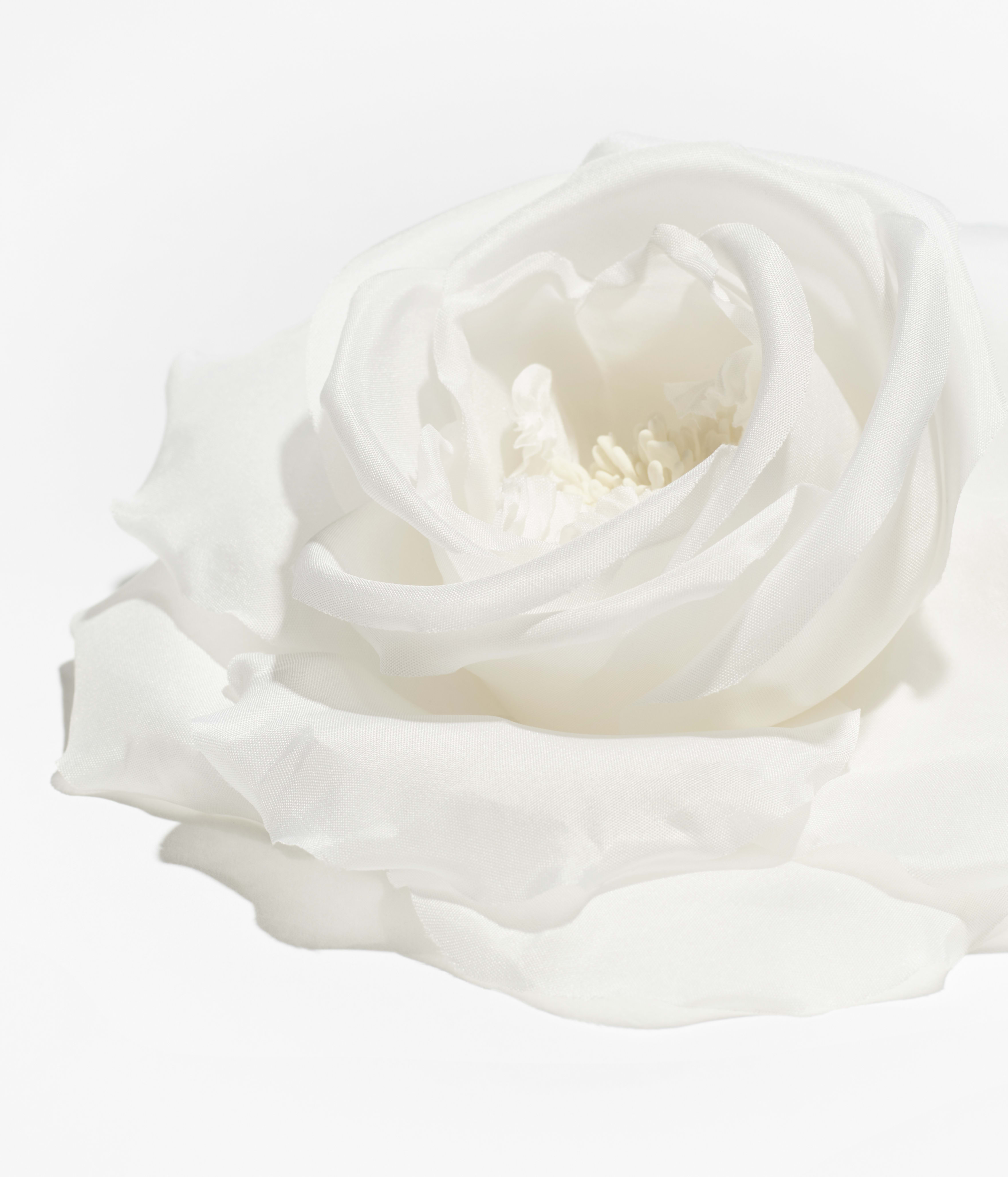Camellia - Silk pongee , white — Fashion | CHANEL