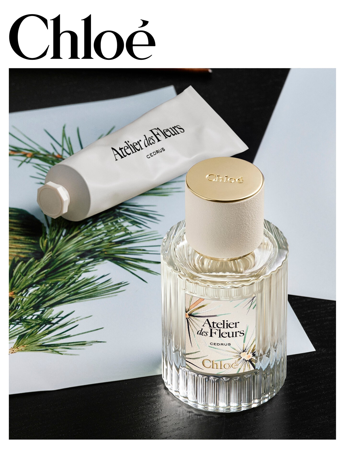 Limited-Edition Atelier des Fleurs Cedrus Eau de Parfum 50 ml - Chloé