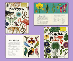 絵でめぐる 生命の博物館（全2巻） | 株式会社汐文社（ちょうぶんしゃ）