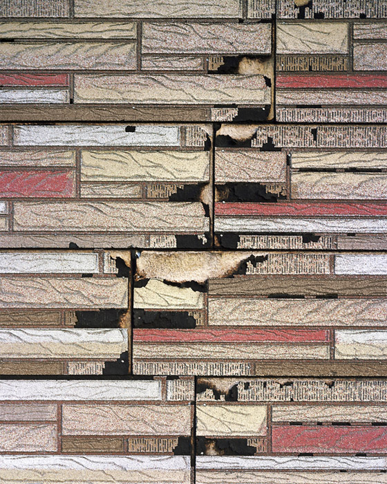 アート・デザイン・音楽 Redheaded Peckerwood Christian Patterson