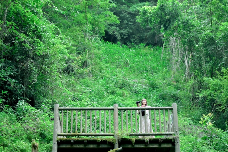 羅生門（らしょうもん）・羅生門さくら公園 | スポット | にいみ公式