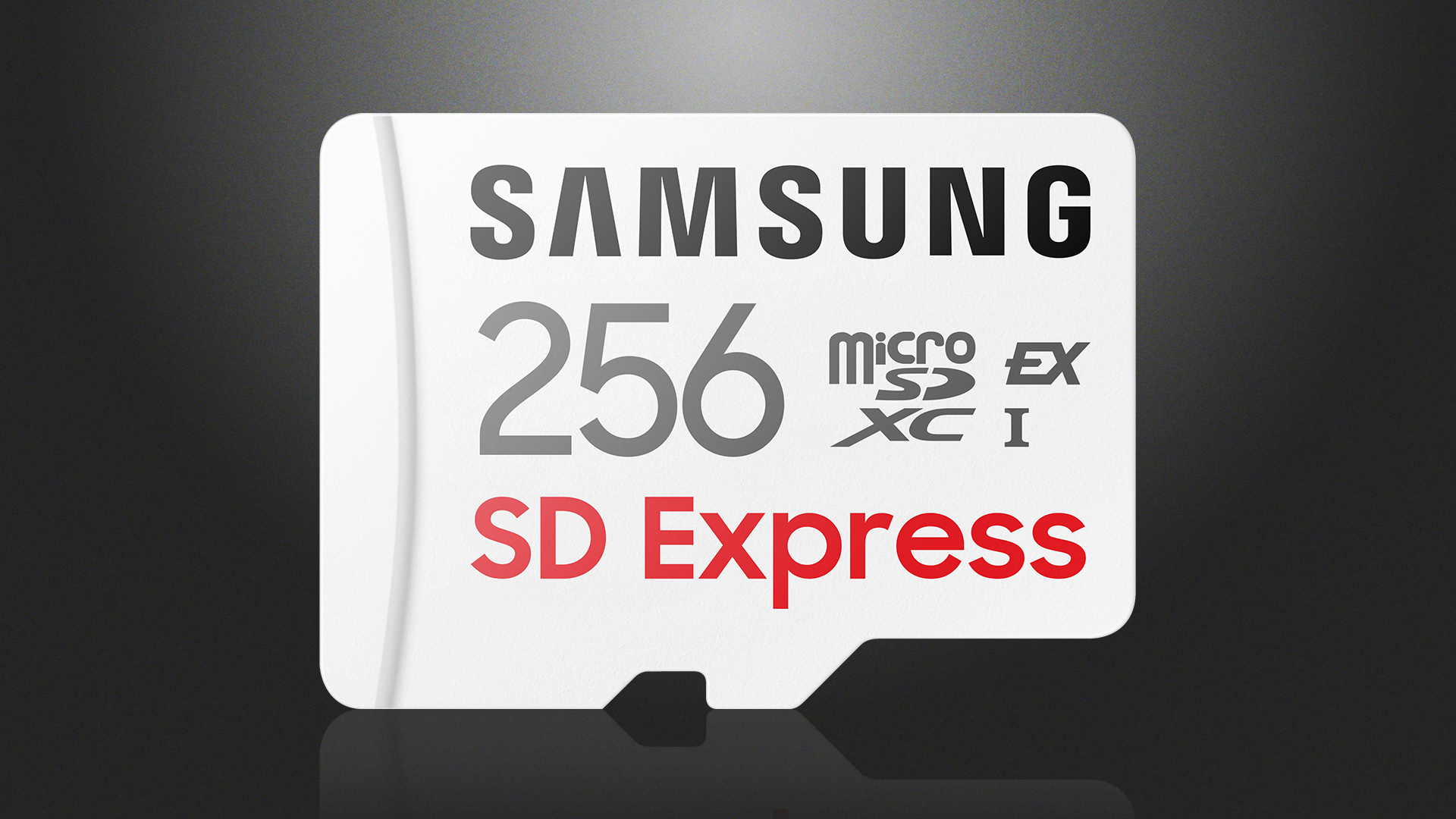 Samsung 256GB SD Express microSD Card Announced – Time for a New