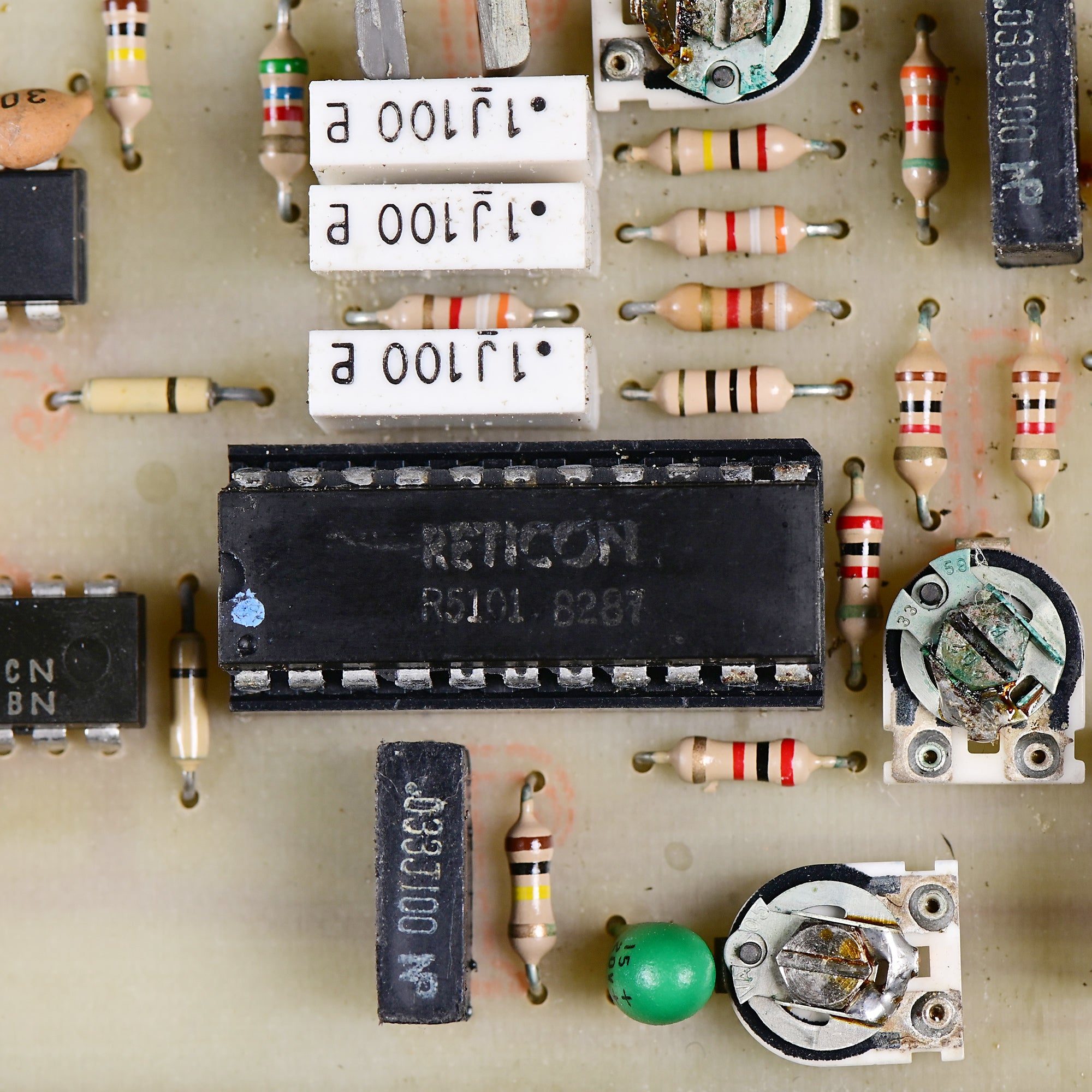 DSC_8637_5e4fabb8-134c-4ea0-