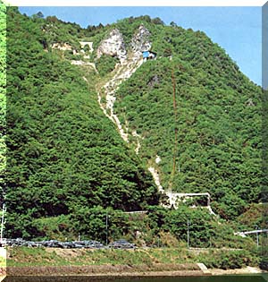 布賀産高温スカルン鉱物