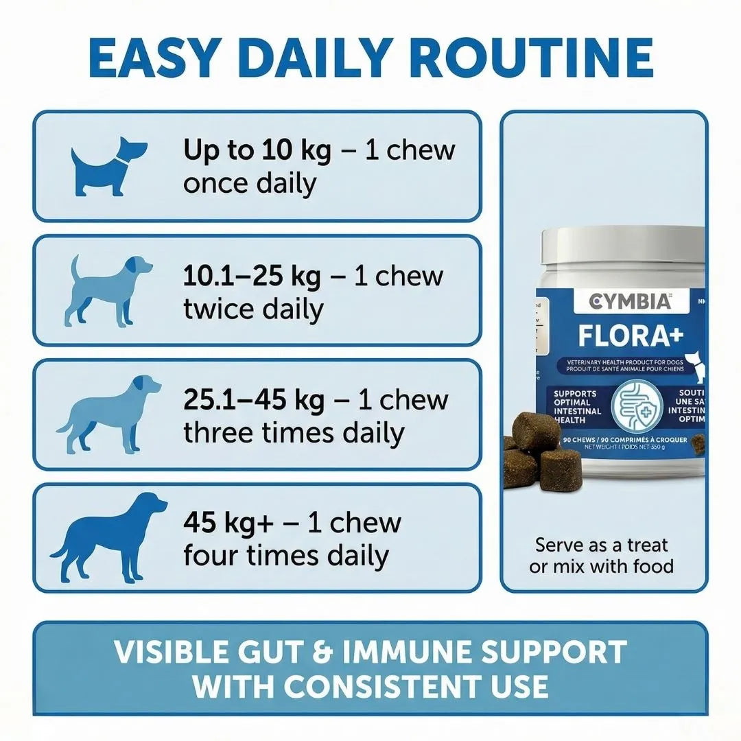 Flora+ | Diet Dog Treats for Digestive Health & Gut Care – Cymbia