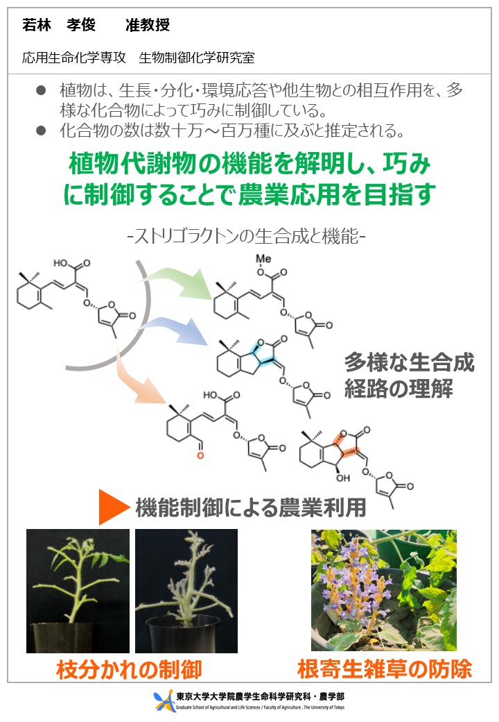 若林 孝俊 | 東京大学大学院農学生命科学研究科・農学部