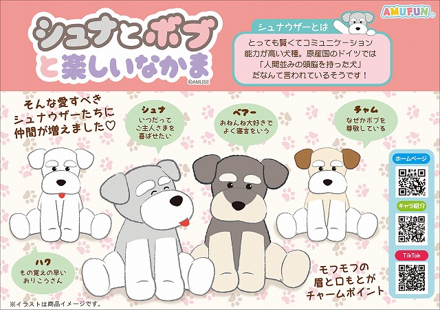 新商品情報｜アミューズ最新情報