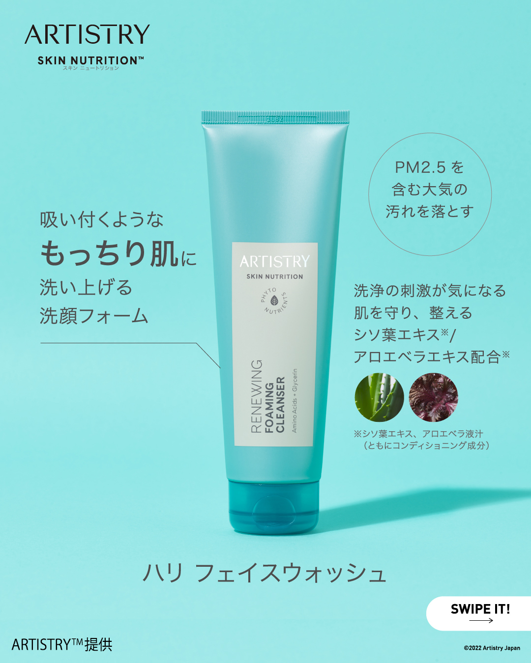 アーティストリー スキン NT™ ハリ フェイスウォッシュ | amwaylive