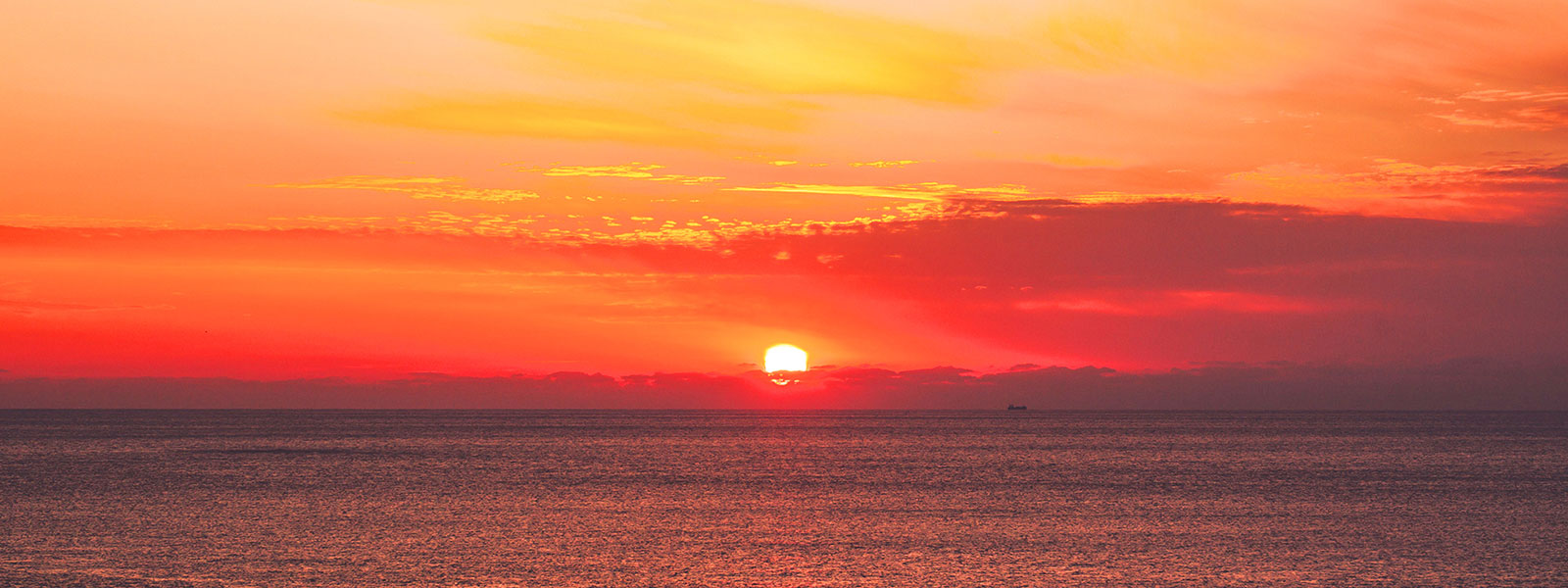 天草灘に沈む夕日を海上から眺める！「サンセットクルージング」