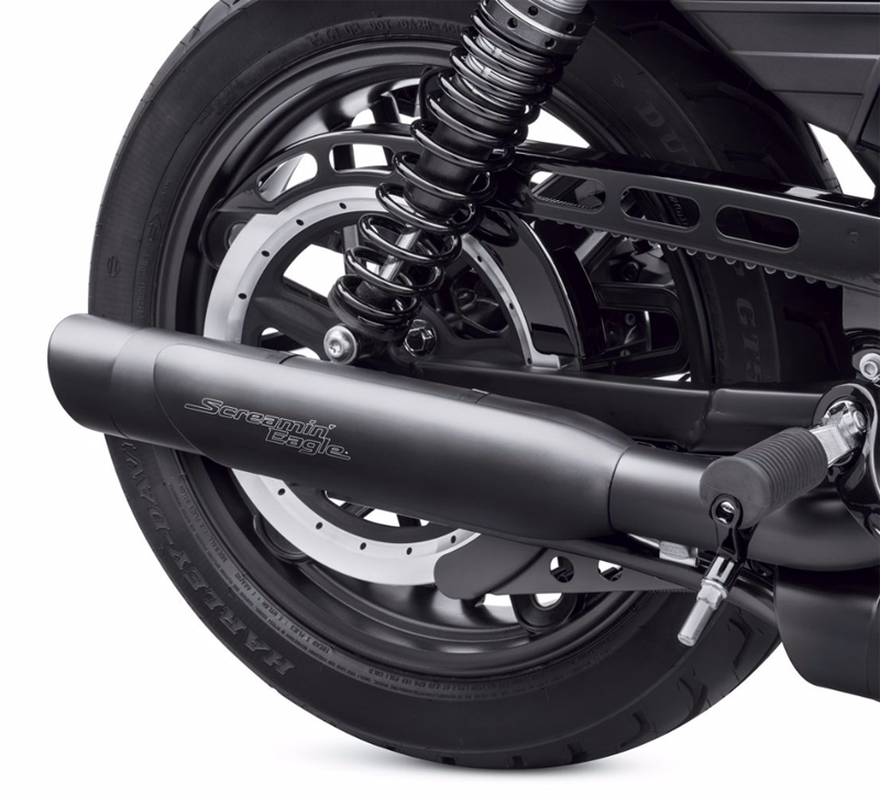 スクリーミンイーグル スラッシュカット マフラーシールド - Harley