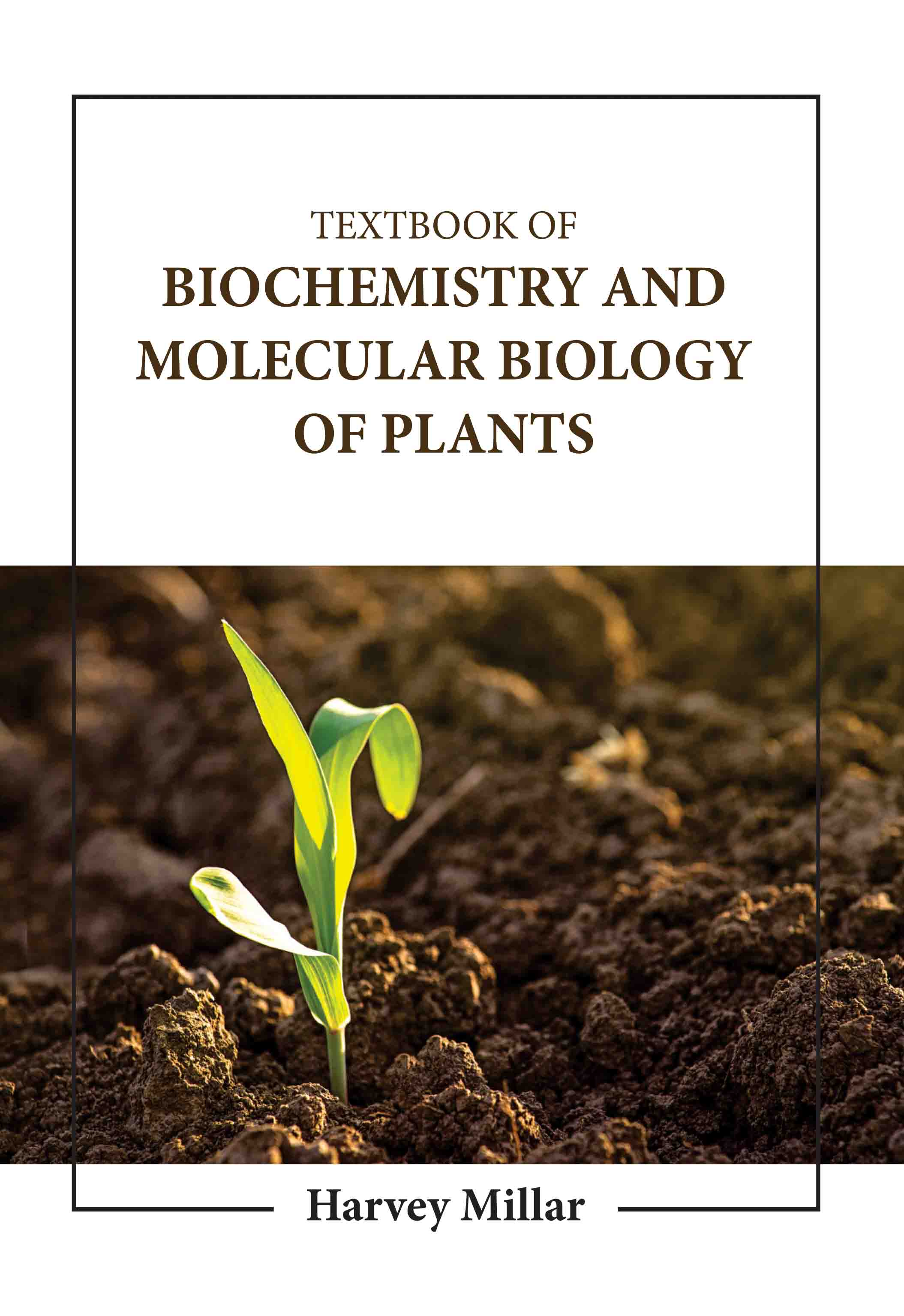 textbook of biochemistry and molecular biology of plants - Buy Now