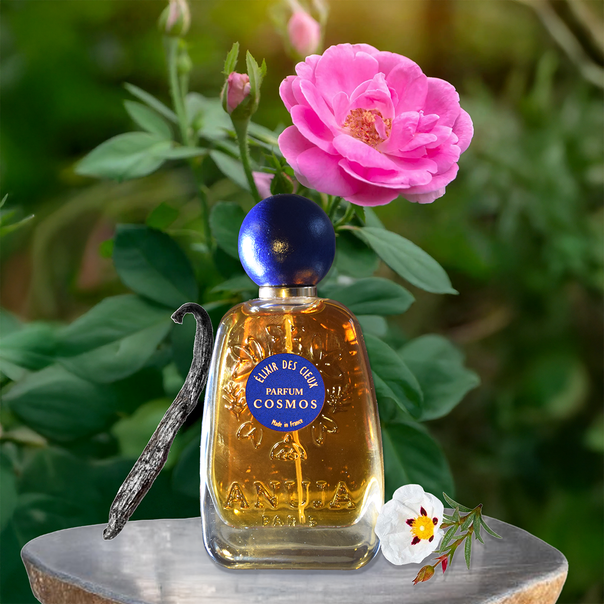 エリクサー オブ ザ ヘブンズ コスモス パフューム 100ml - 香水 ANUJA