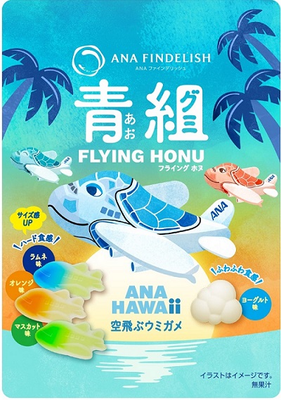 ANA FINDELISH 青組FLYING HONU－フライングホヌ－ | 羽田空港 国際線