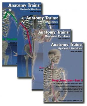Set II of 4 - Technique Series Videos