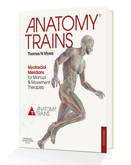 Whole-Body Fascial and Myofascial Linkage - About Anatomy Trains