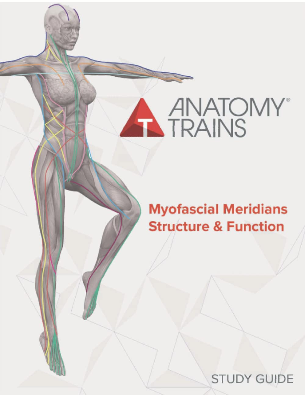 Anatomy Trains Books for Sale | Fascial Health Literature