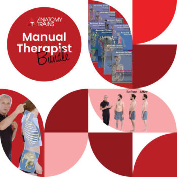 manual-therapists-bundle-
