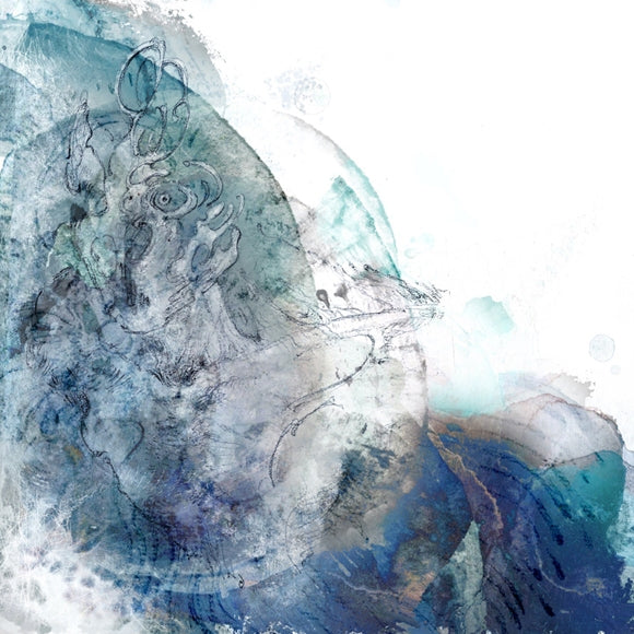 animate】[a](Album) Kaizin by Eve [Kaizin Edition]{Bonus:CD,Blu