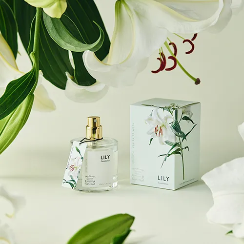 ゴージャスで濃密なカサブランカの香り Original Eau de toilette