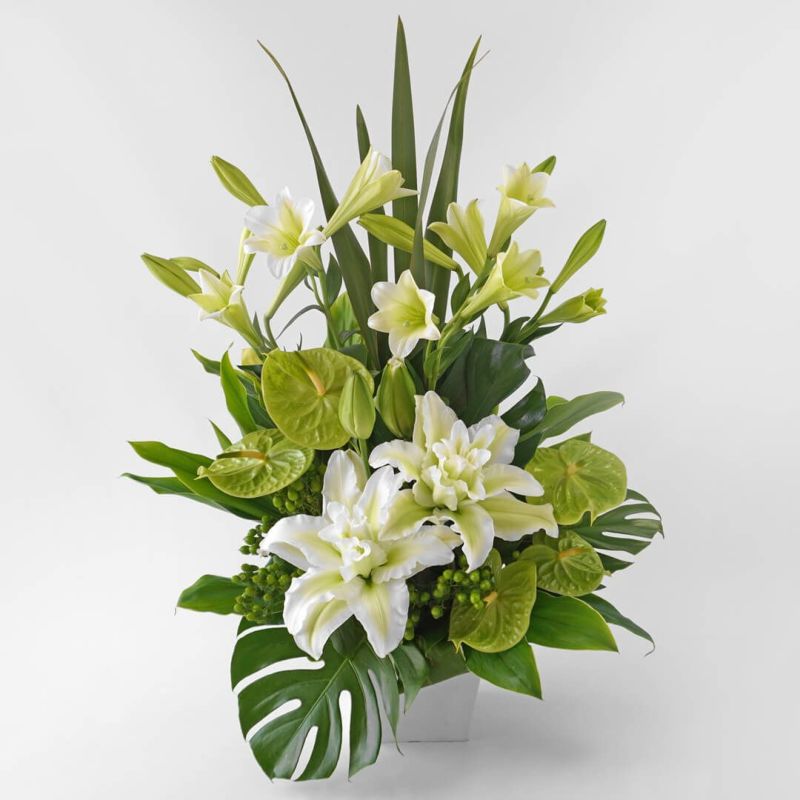 ギフトに最適。 花束とは異なる魅力のフラワーアレンジメント | 青山花