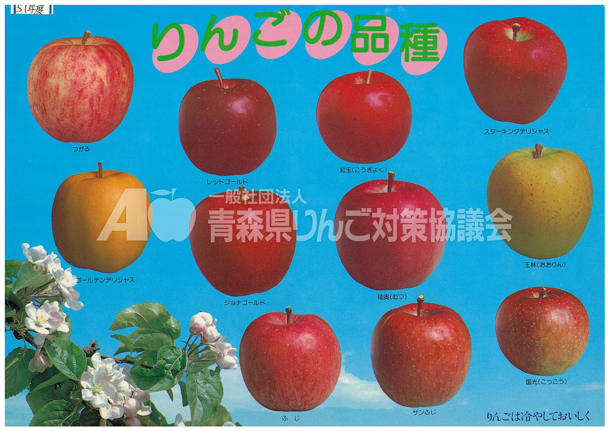 青森りんご下敷き歴史館青森りんご公式サイト（一社）青森県りんご対策