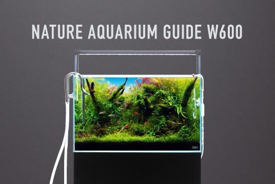 ADA - アクアデザインアマノ