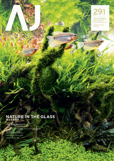 月刊アクアジャーナルVol.291 発売のお知らせ | ADA - NEWS RELEASE