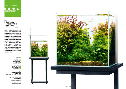 月刊アクアジャーナルVol.269 発売のお知らせ | ADA - NEWS RELEASE