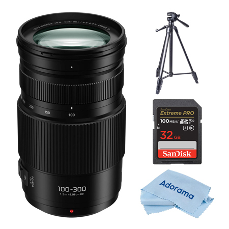 Panasonic LUMIX G Vario 100-300mm f/4.0-5.6 II Lens for MFT with
