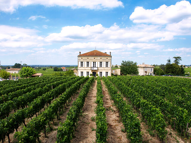 歴史を知ればワインがもっと美味しくなる！？フランスワインの奥深い