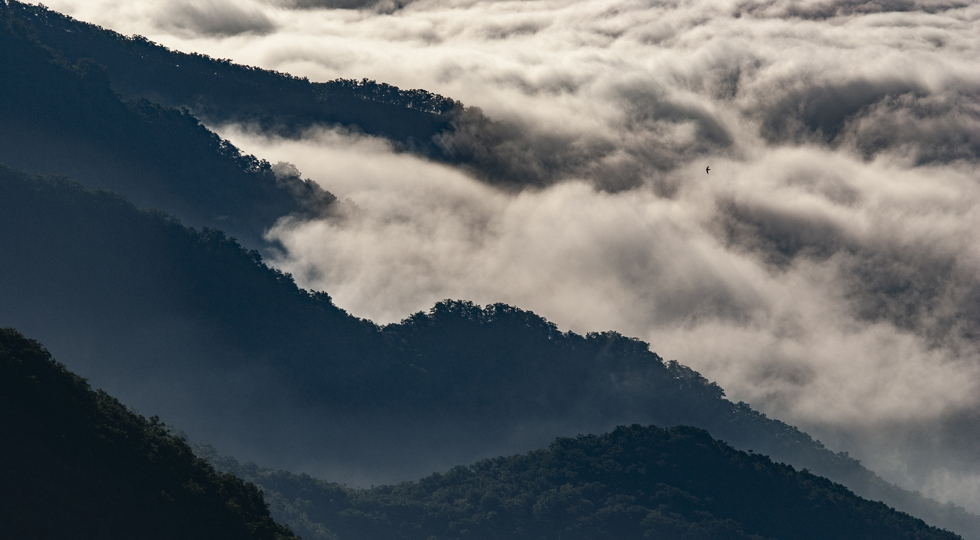 三好 和義 | 写真素材・ストックフォトのアフロ