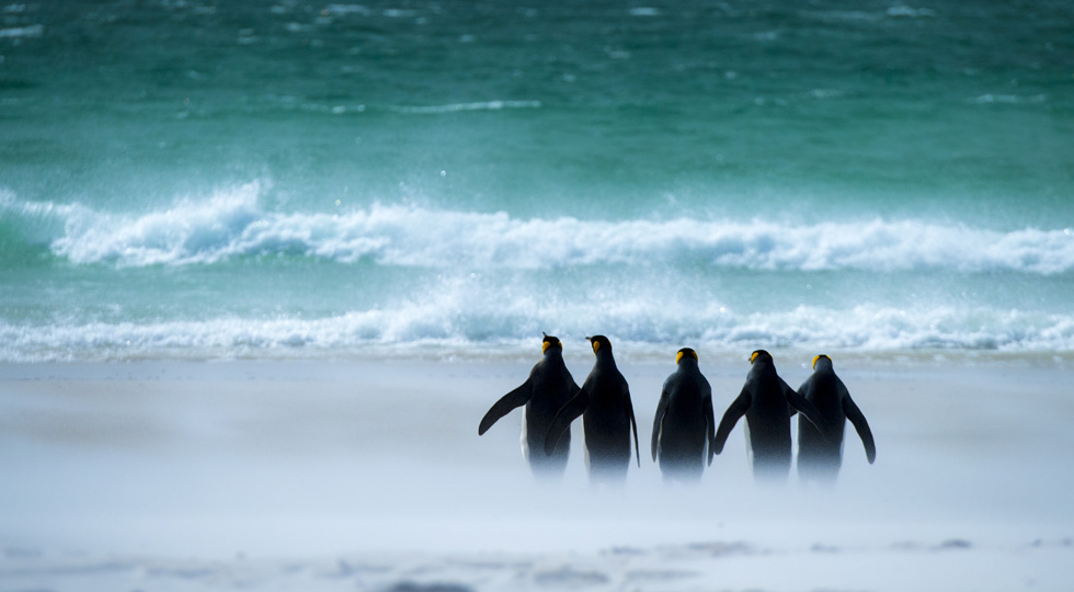 高砂 淳二 | 写真素材・ストックフォトのアフロ
