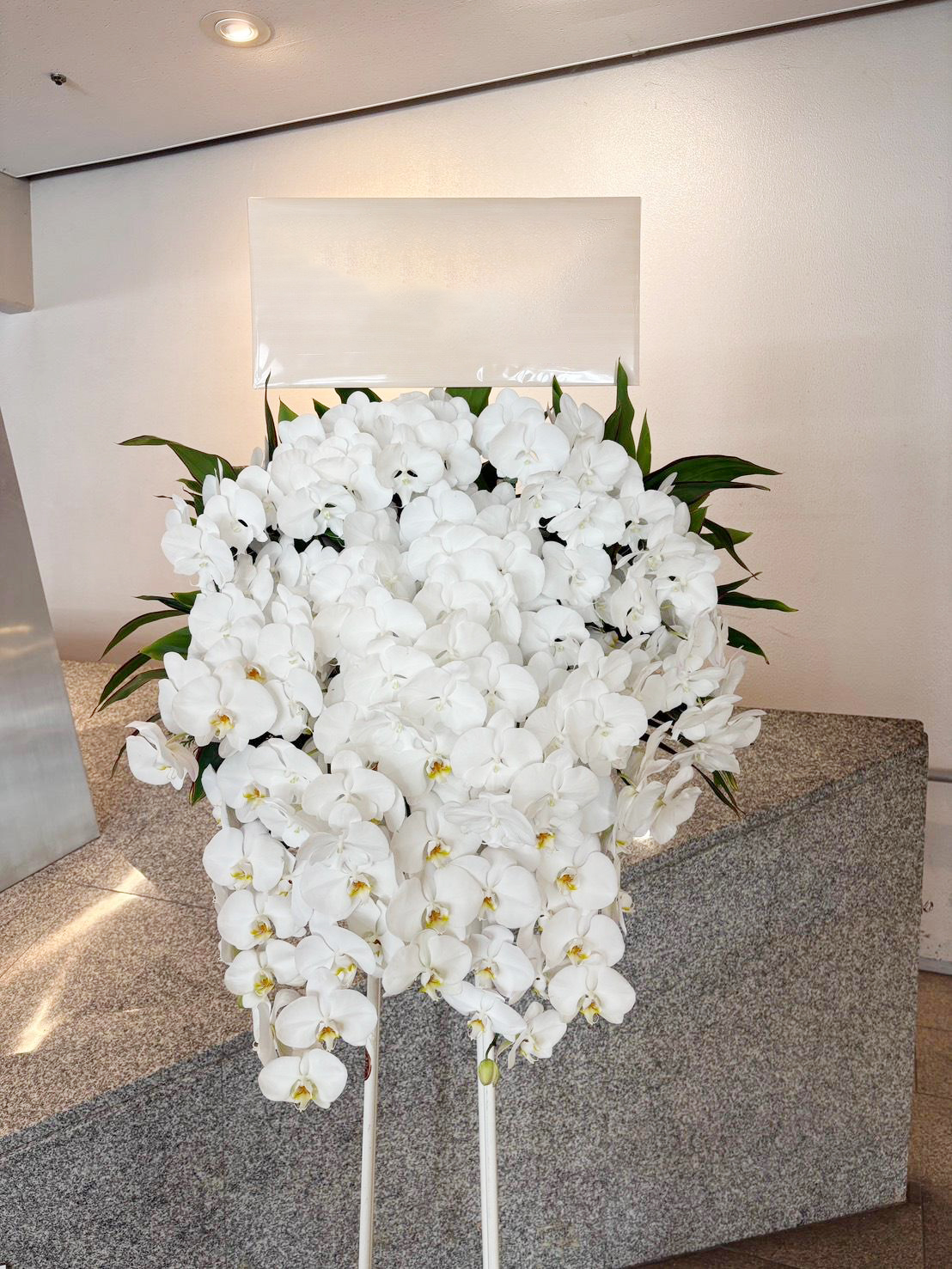 大輪胡蝶蘭スタンド花 白 商品詳細│中洲花屋 ABCフラワー｜福岡市博多