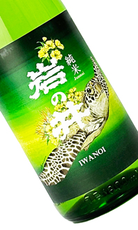 岩の井 純米「みどり 海亀」 1800ml 【千葉県】【岩瀬酒造】【日本酒