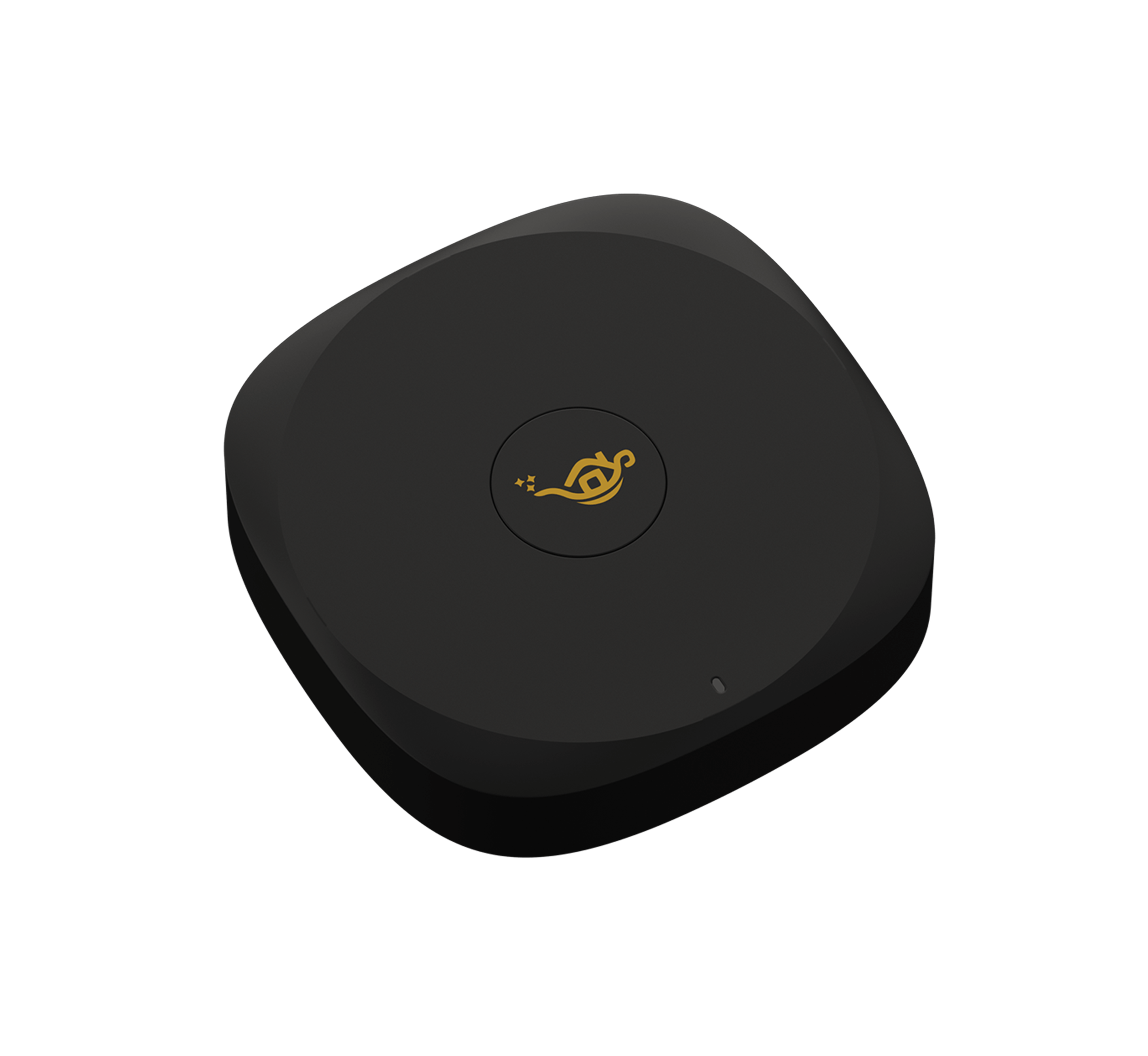 サポート - Z6 Polar meets popIn Aladdin