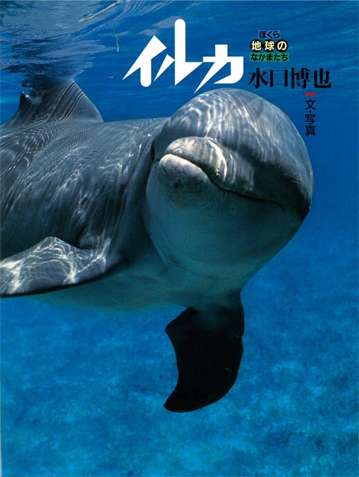 イルカ ｜ アリス館