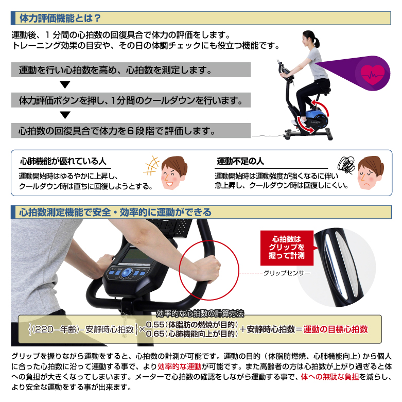 プログラムバイク6119 AFB6119 (新品)